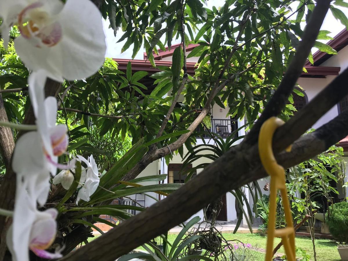 Green Edge Residences Dambulla Bagian luar foto
